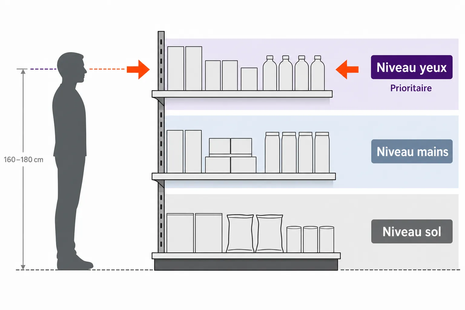 Coupe d'une gondole : niveau yeux prioritaire, niveau mains, niveau sol, silhouette pour l'échelle.